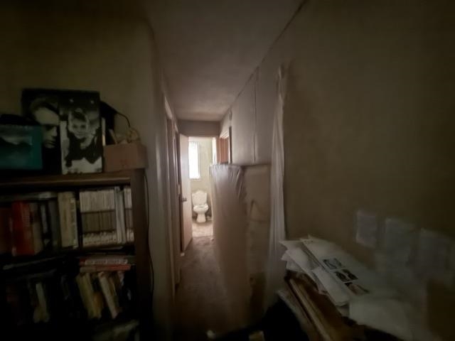 6555 Rabbit Creek Rd Property Photo 18