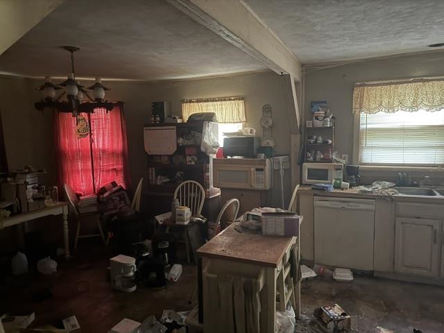 6555 Rabbit Creek Rd Property Photo 19