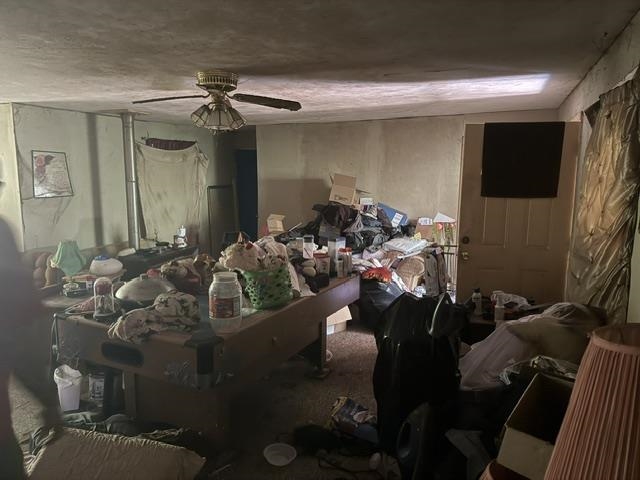 6555 Rabbit Creek Rd Property Photo 21