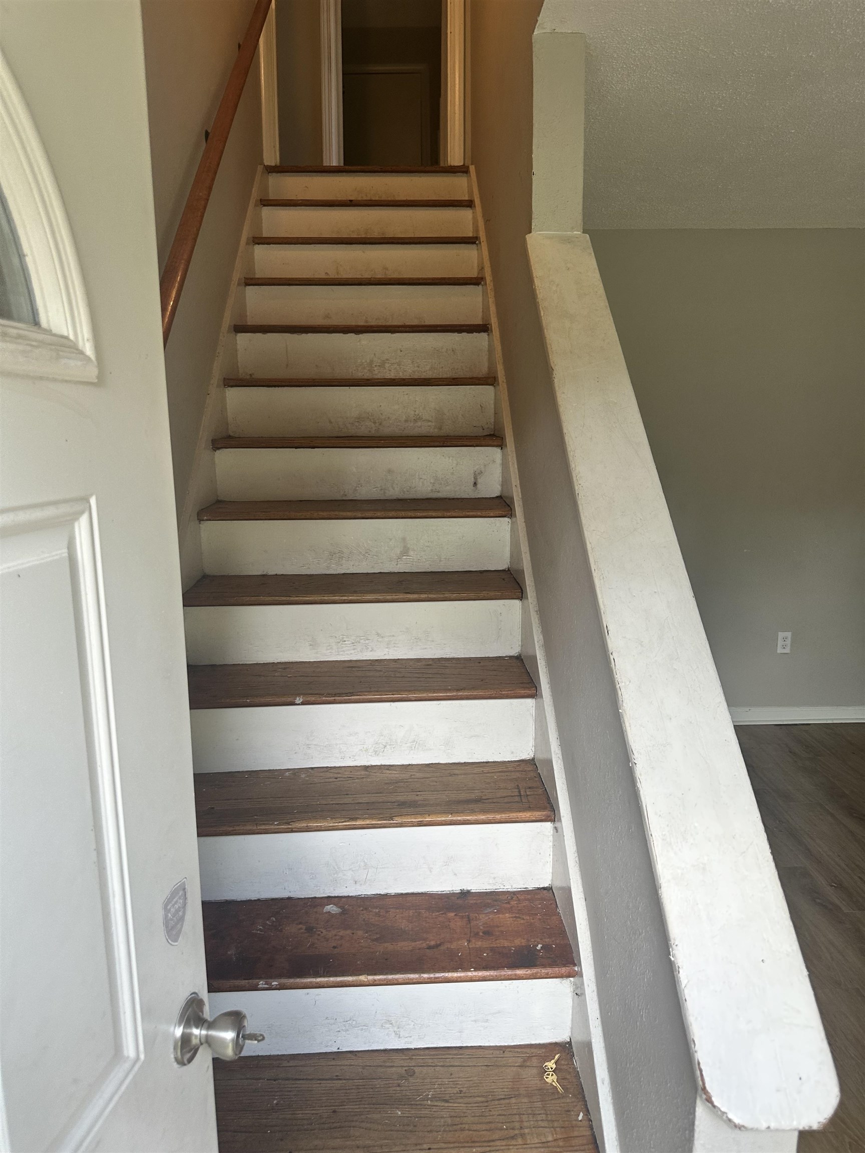 3671 Skylark Dr Property Photo 2