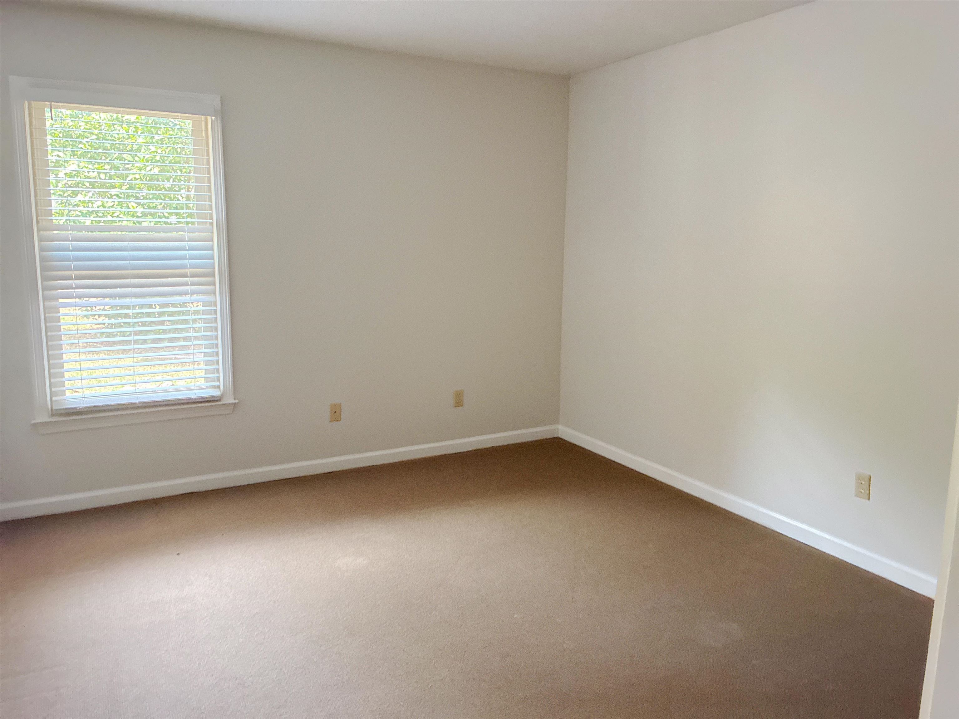 8534 Shady Trail Cv Property Photo 13