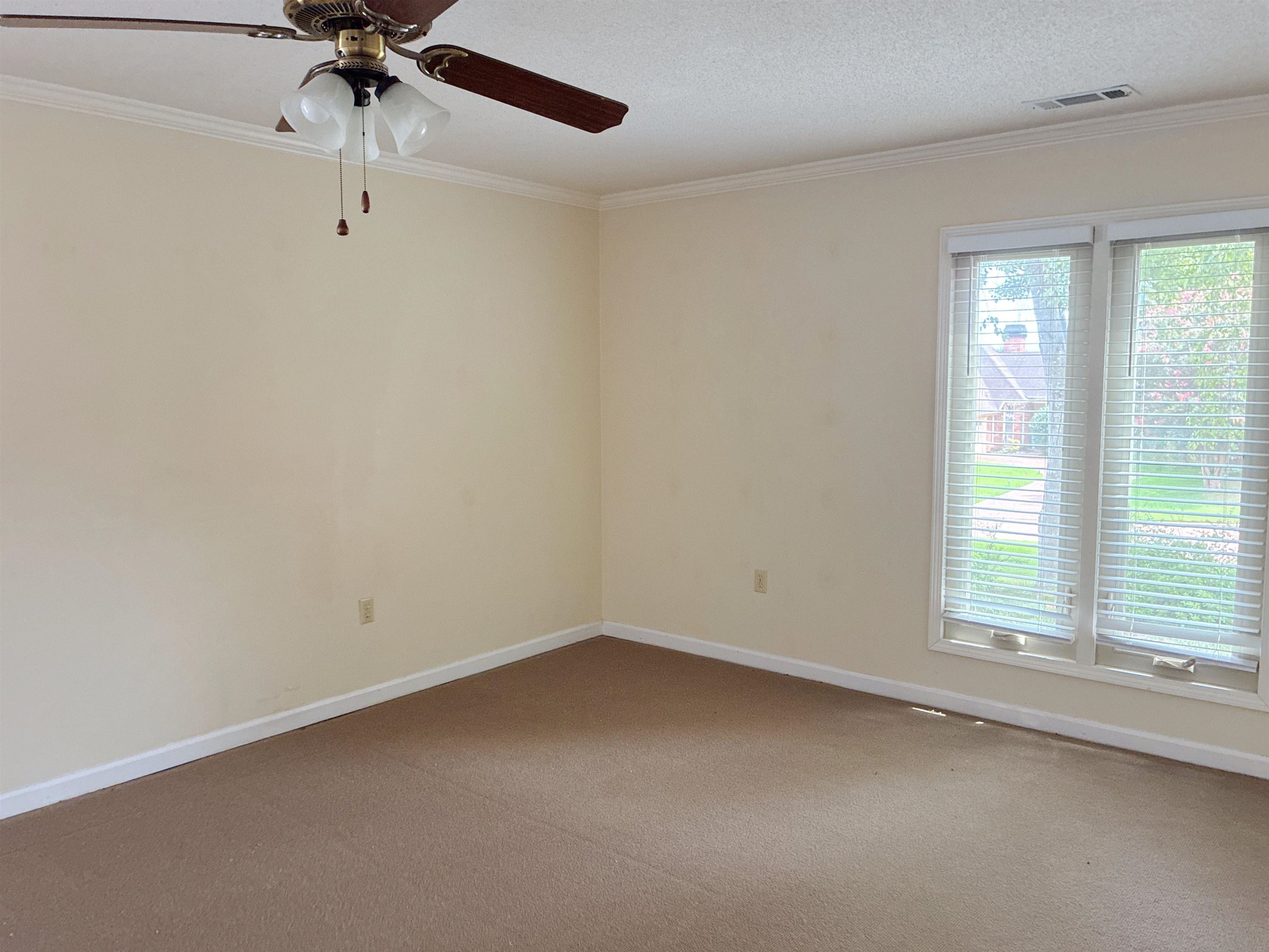 8534 Shady Trail Cv Property Photo 14