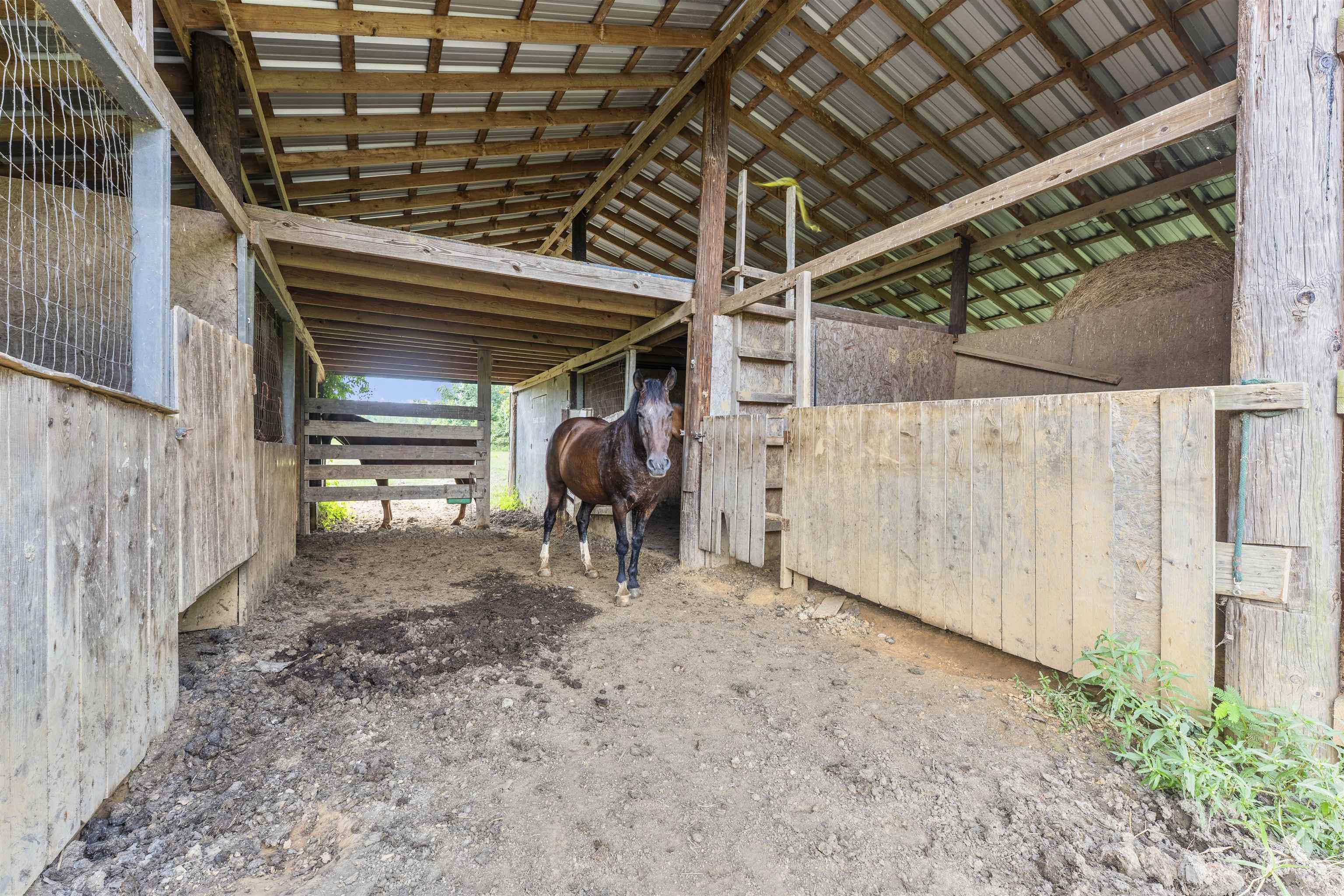 8105 Miller Rd Property Photo 14
