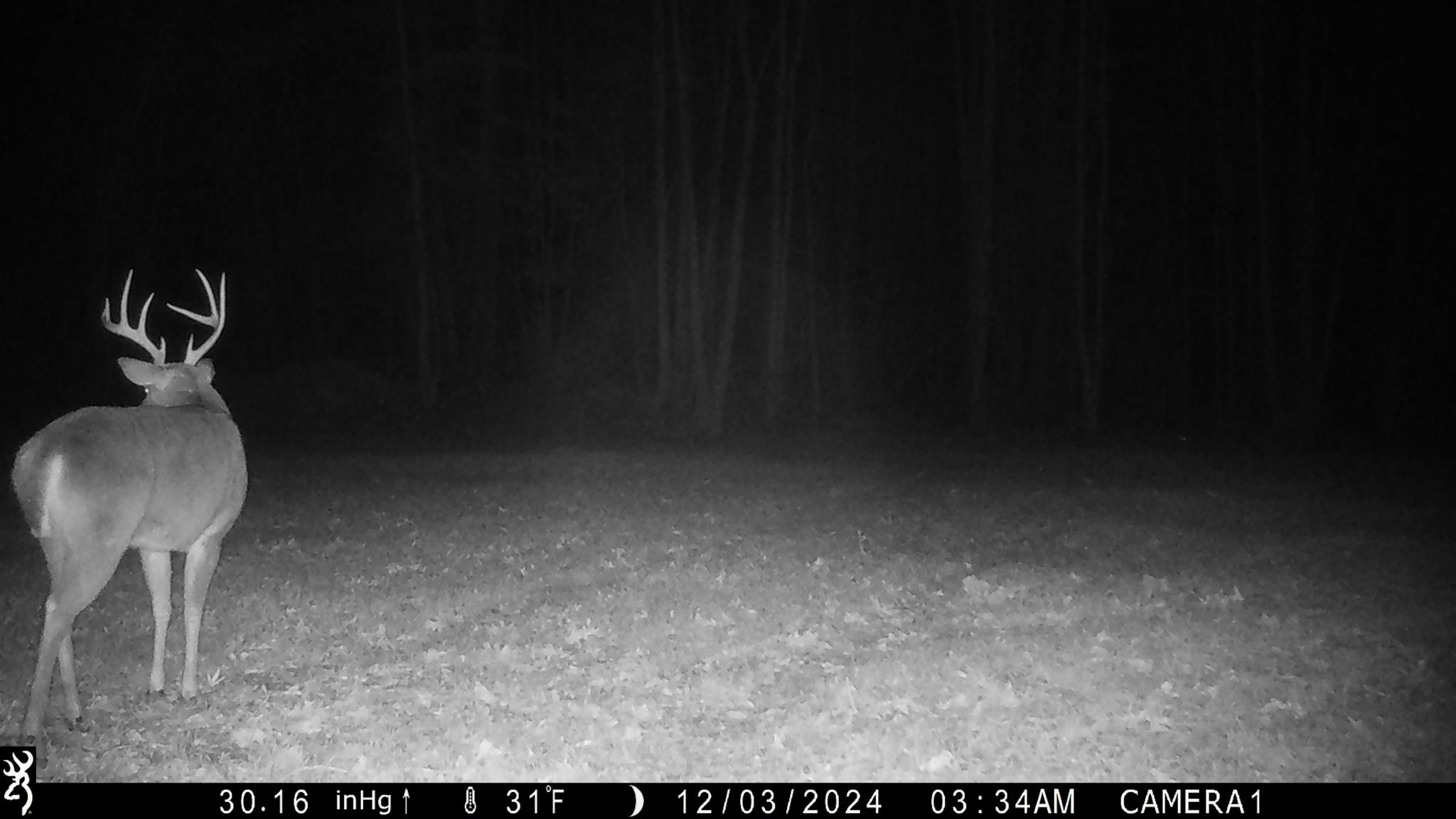 0 S Veterans Dr Property Photo 4