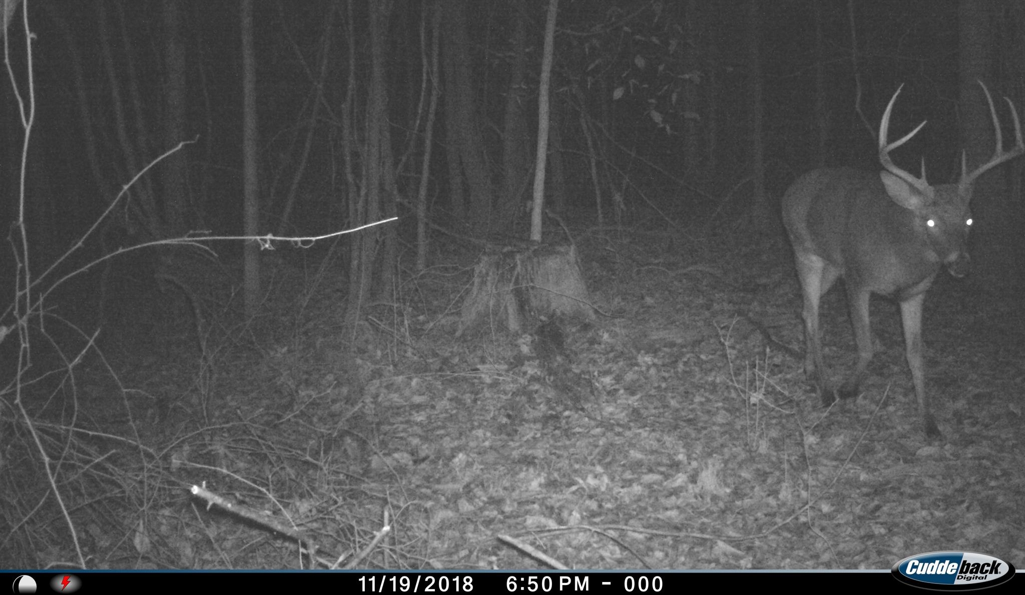0 S Veterans Dr Property Photo 24