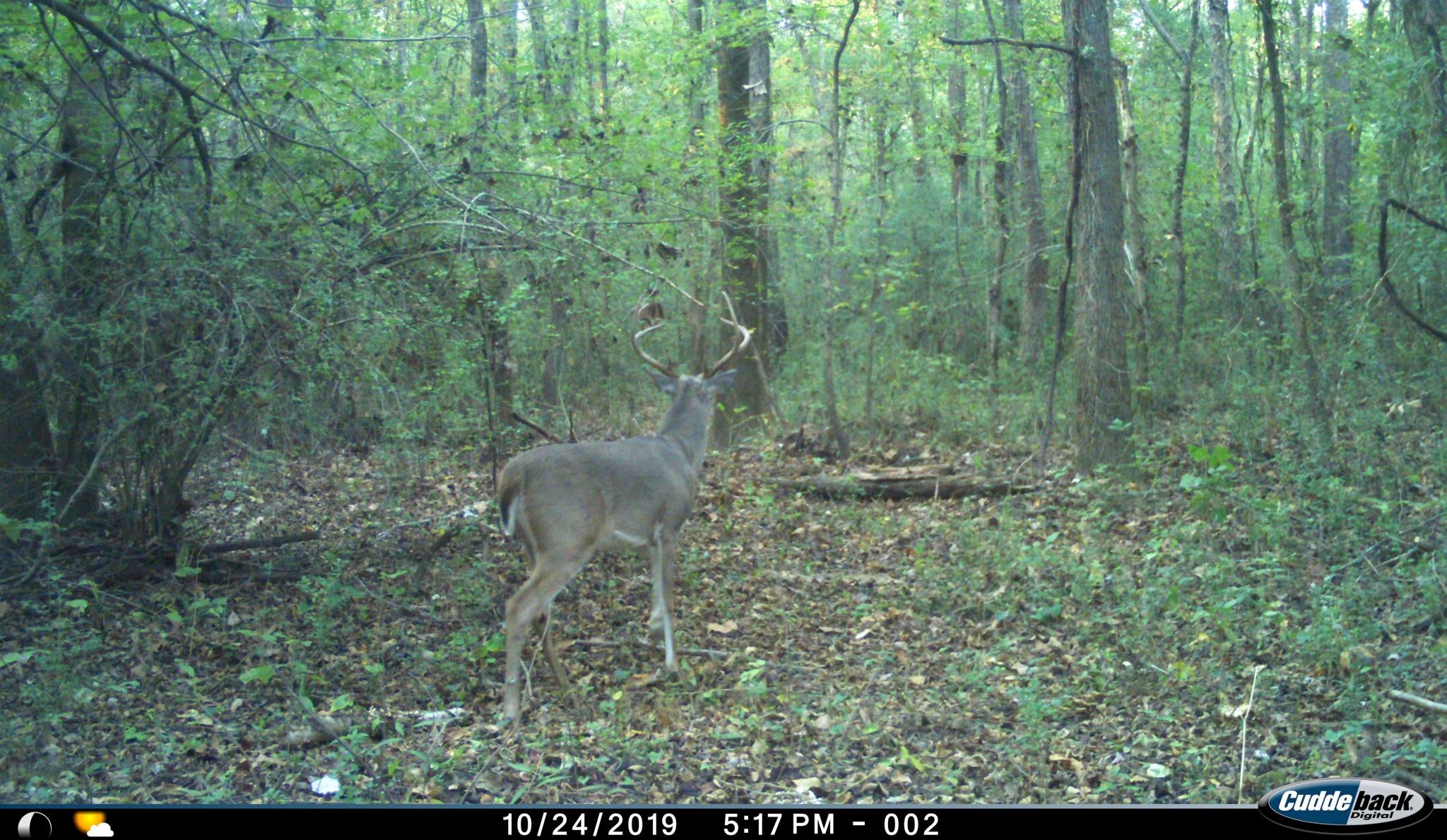 0 S Veterans Dr Property Photo 25