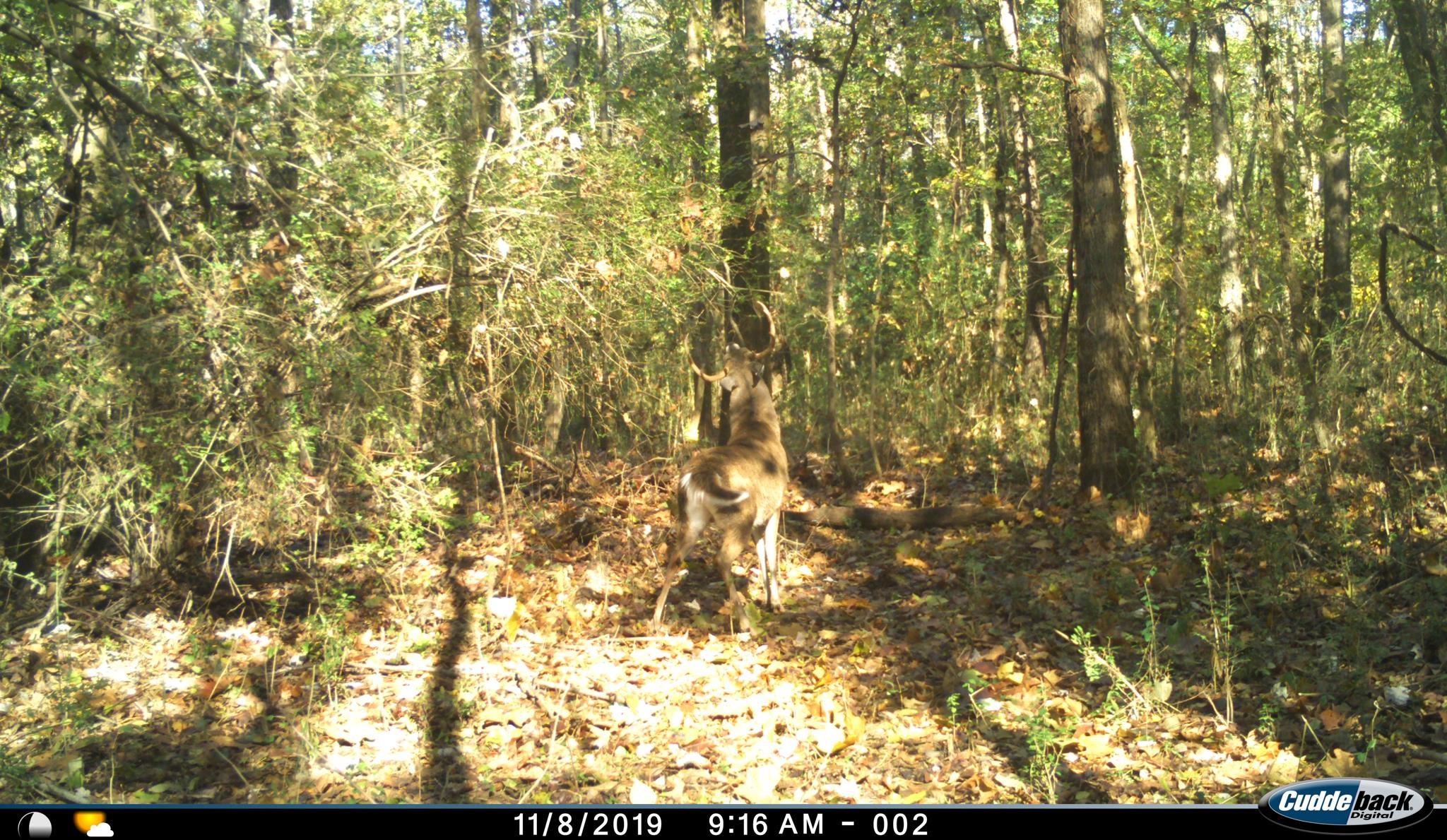0 S Veterans Dr Property Photo 28