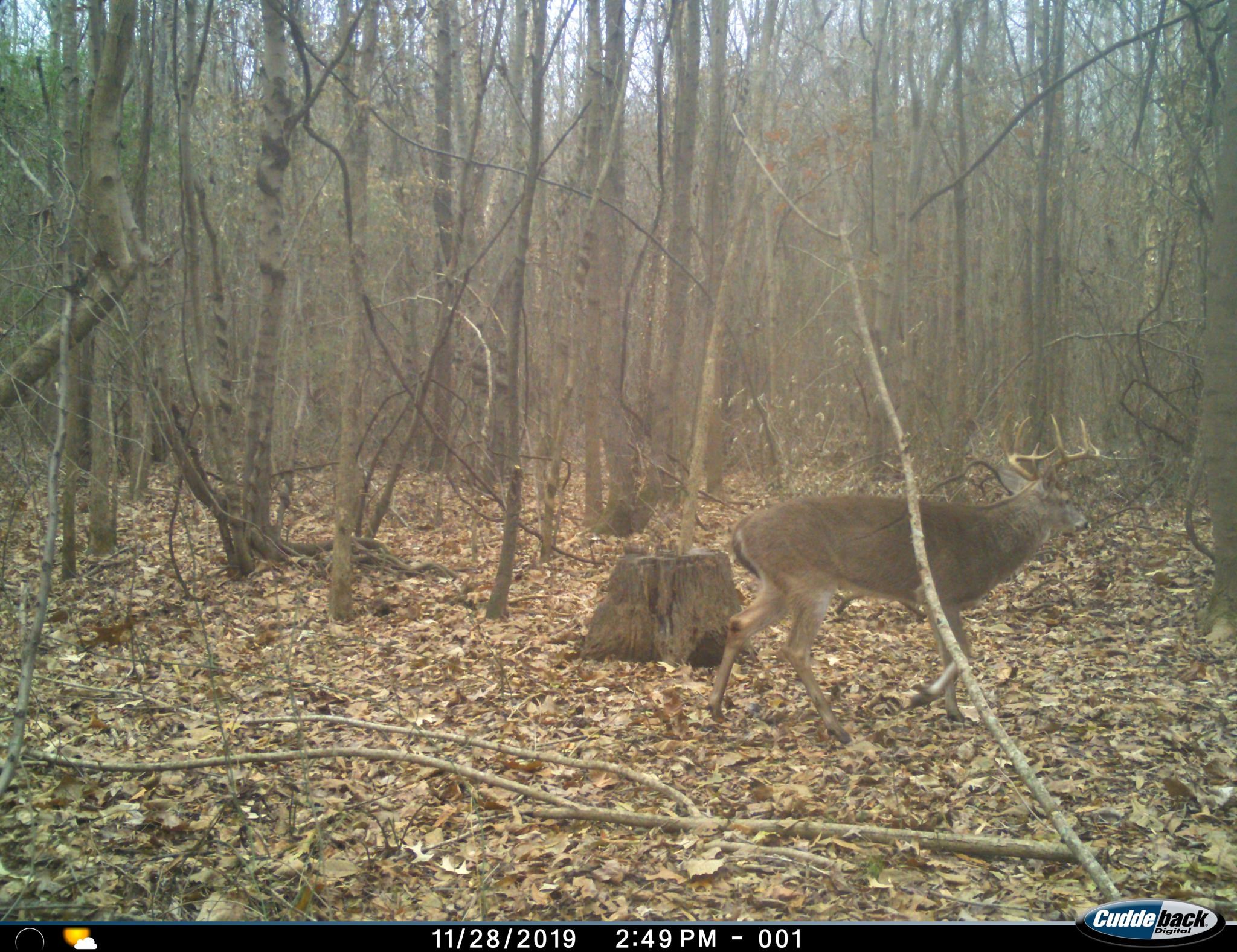 0 S Veterans Dr Property Photo 30