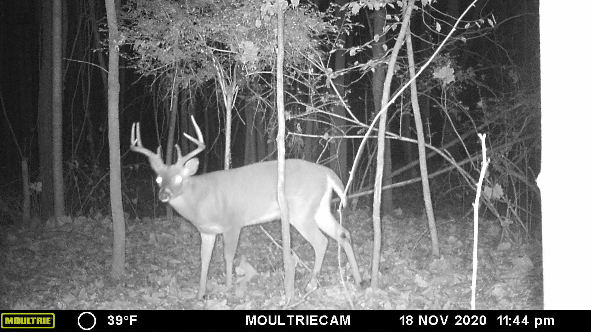 0 S Veterans Dr Property Photo 37