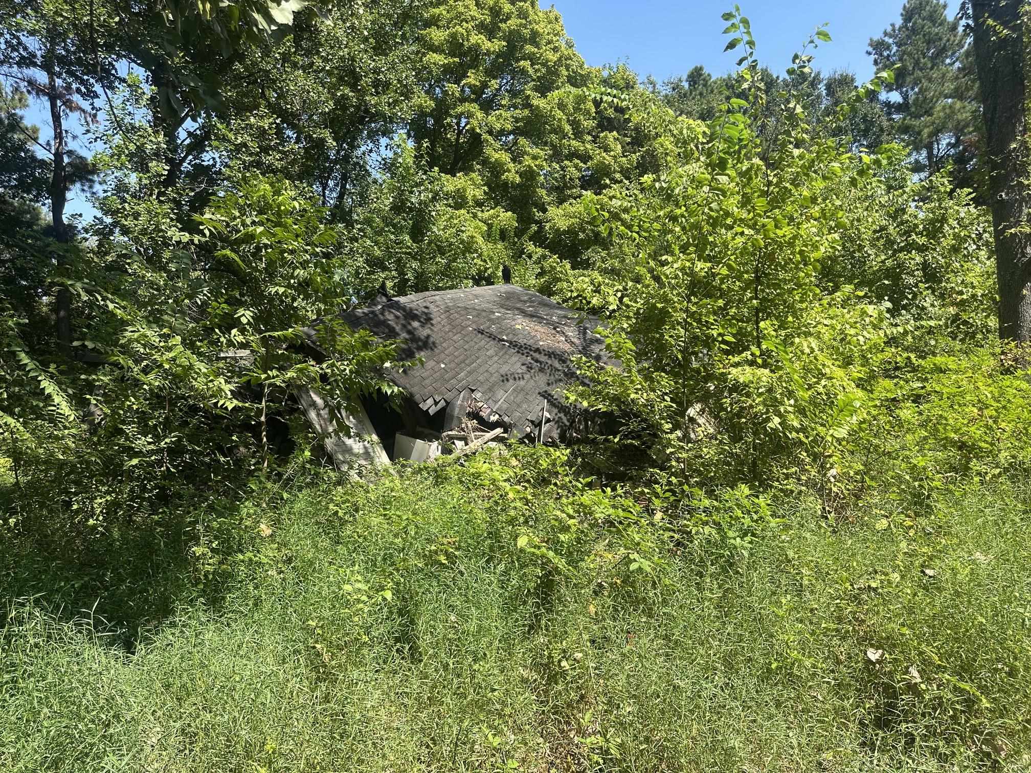 7700 Pleasant Ridge Rd Property Photo 4
