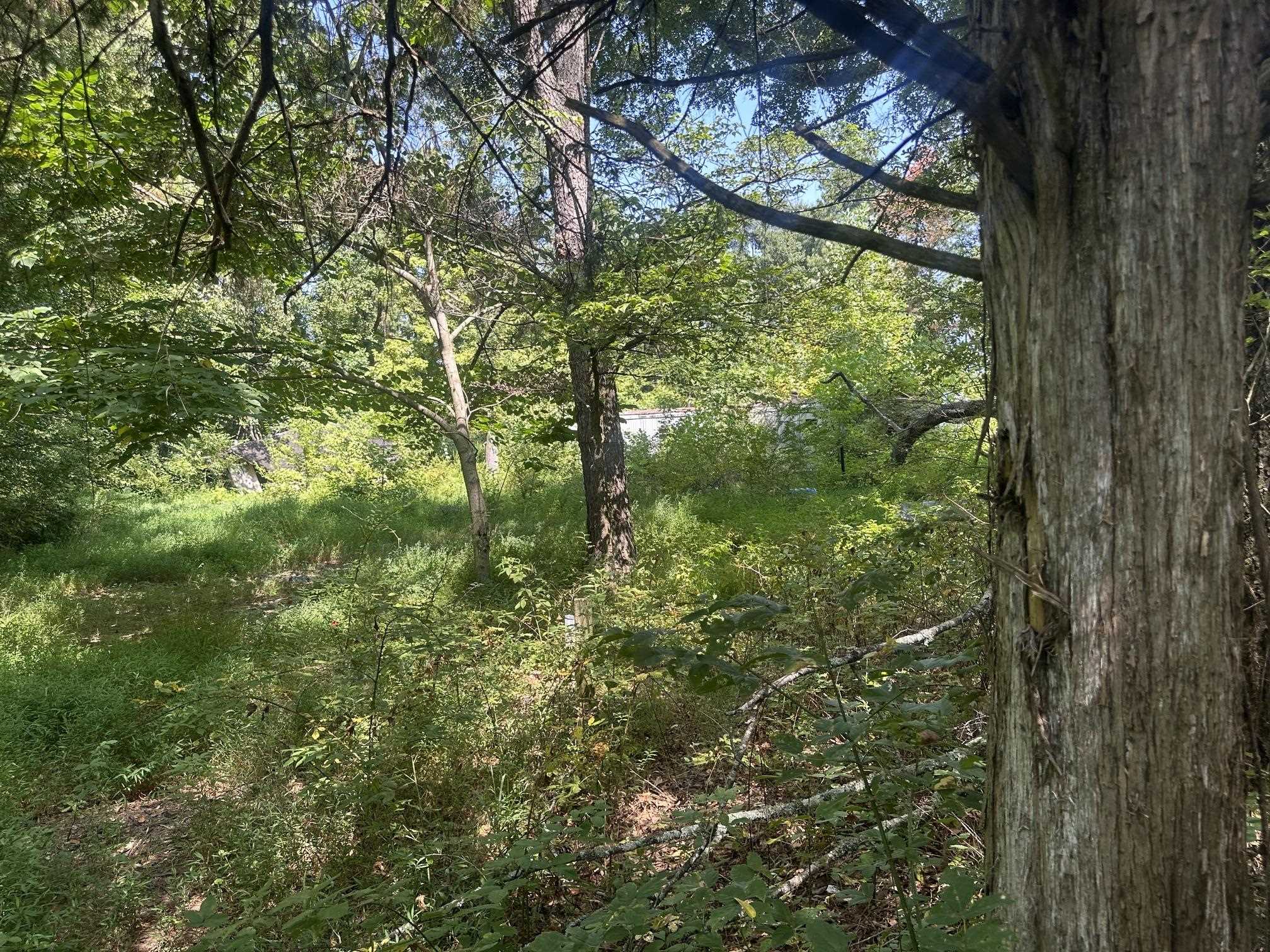 7700 Pleasant Ridge Rd Property Photo 6