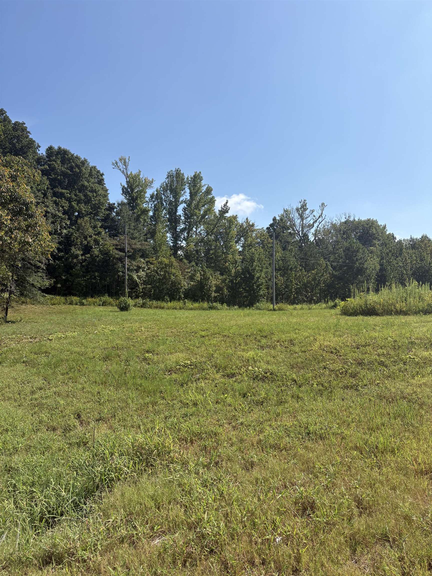 003 Hancock Rd Property Photo 2