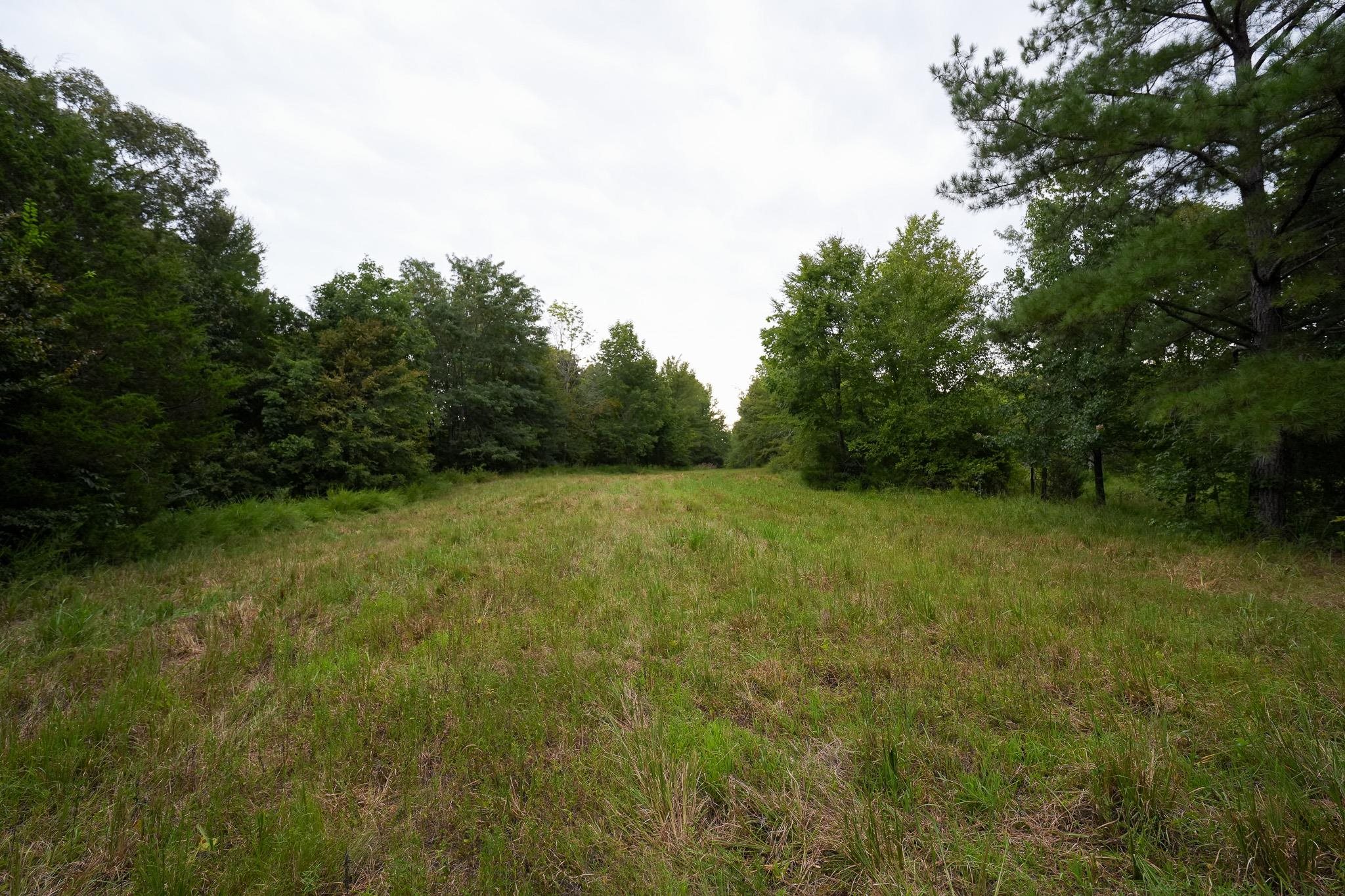 2525 Pittman Rd Property Photo 29