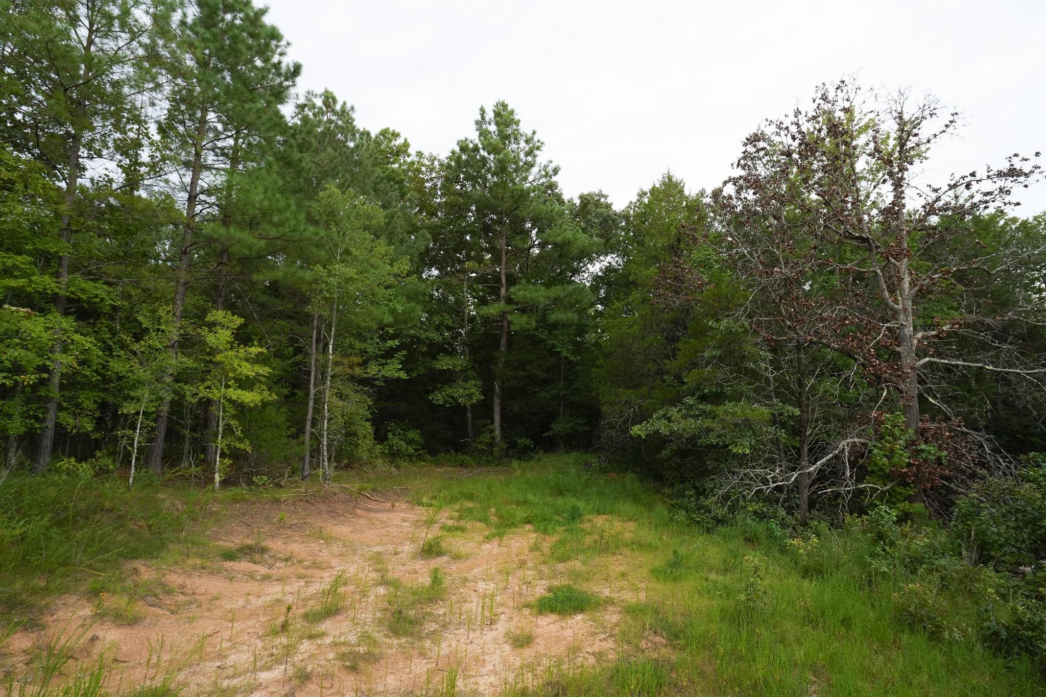 2525 Pittman Rd Property Photo 30