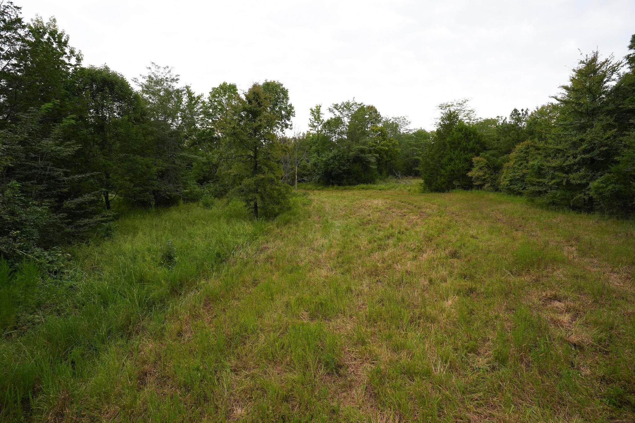 2525 Pittman Rd Property Photo 31