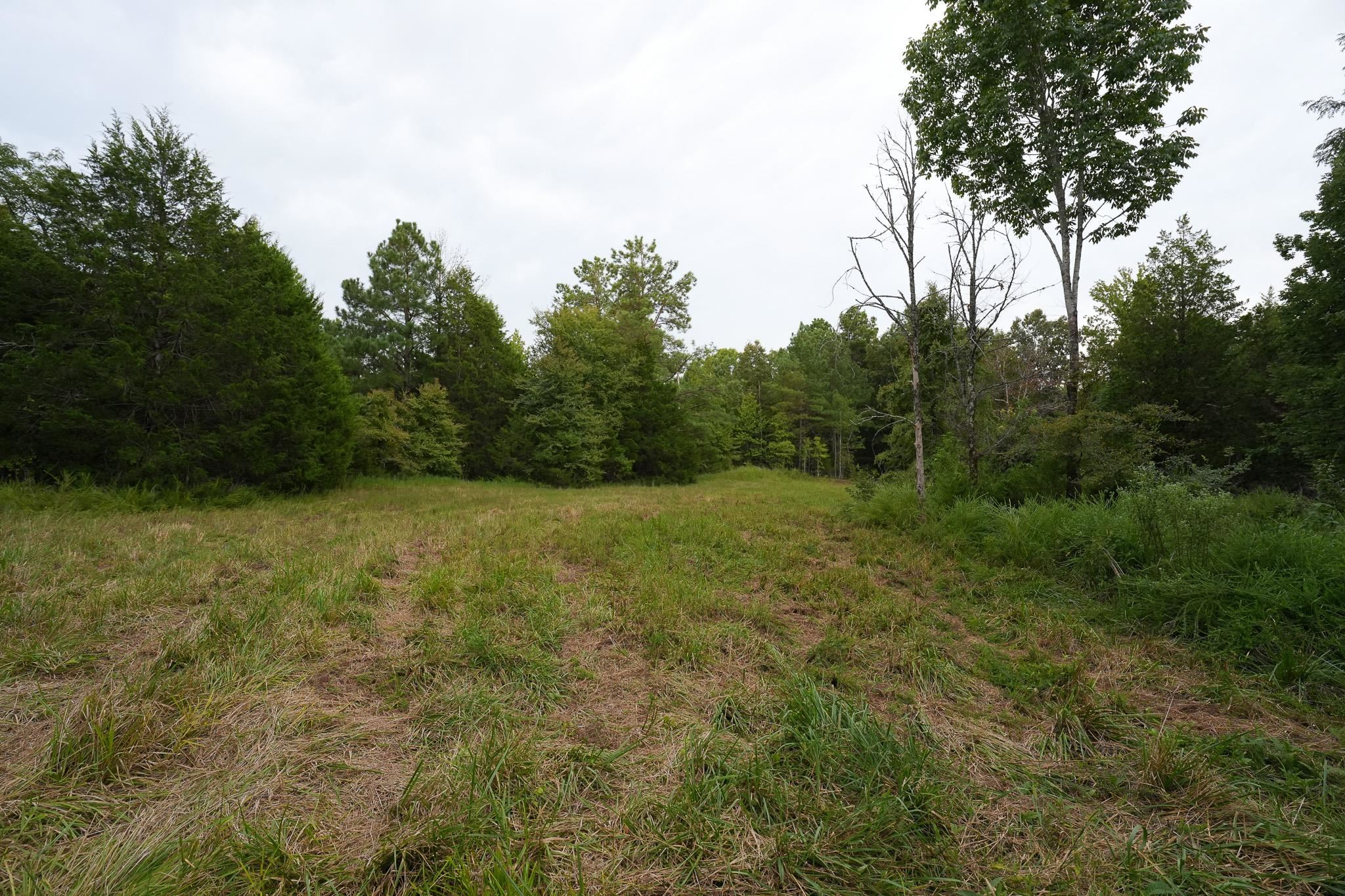 2525 Pittman Rd Property Photo 35