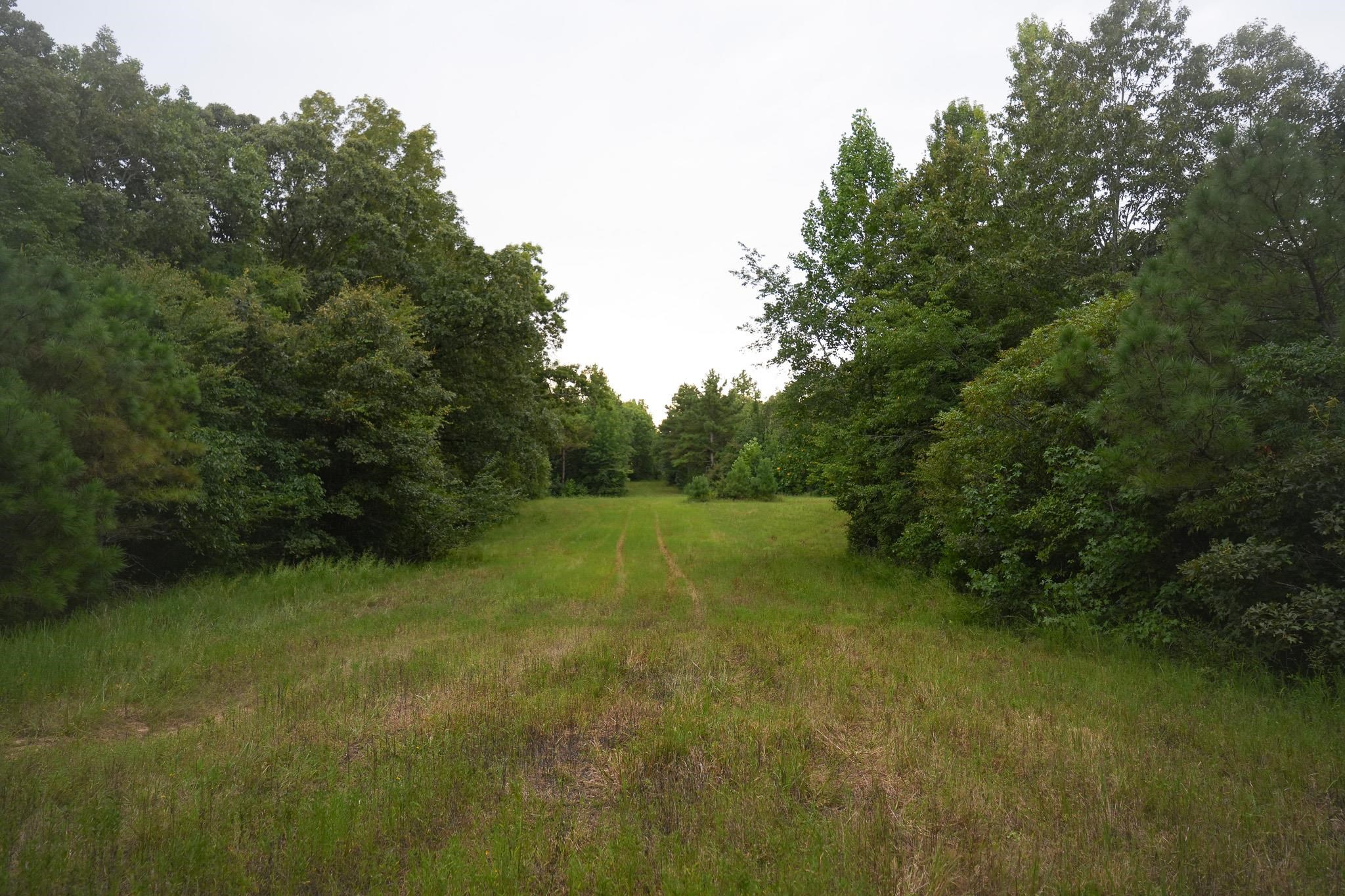 2525 Pittman Rd Property Photo 38