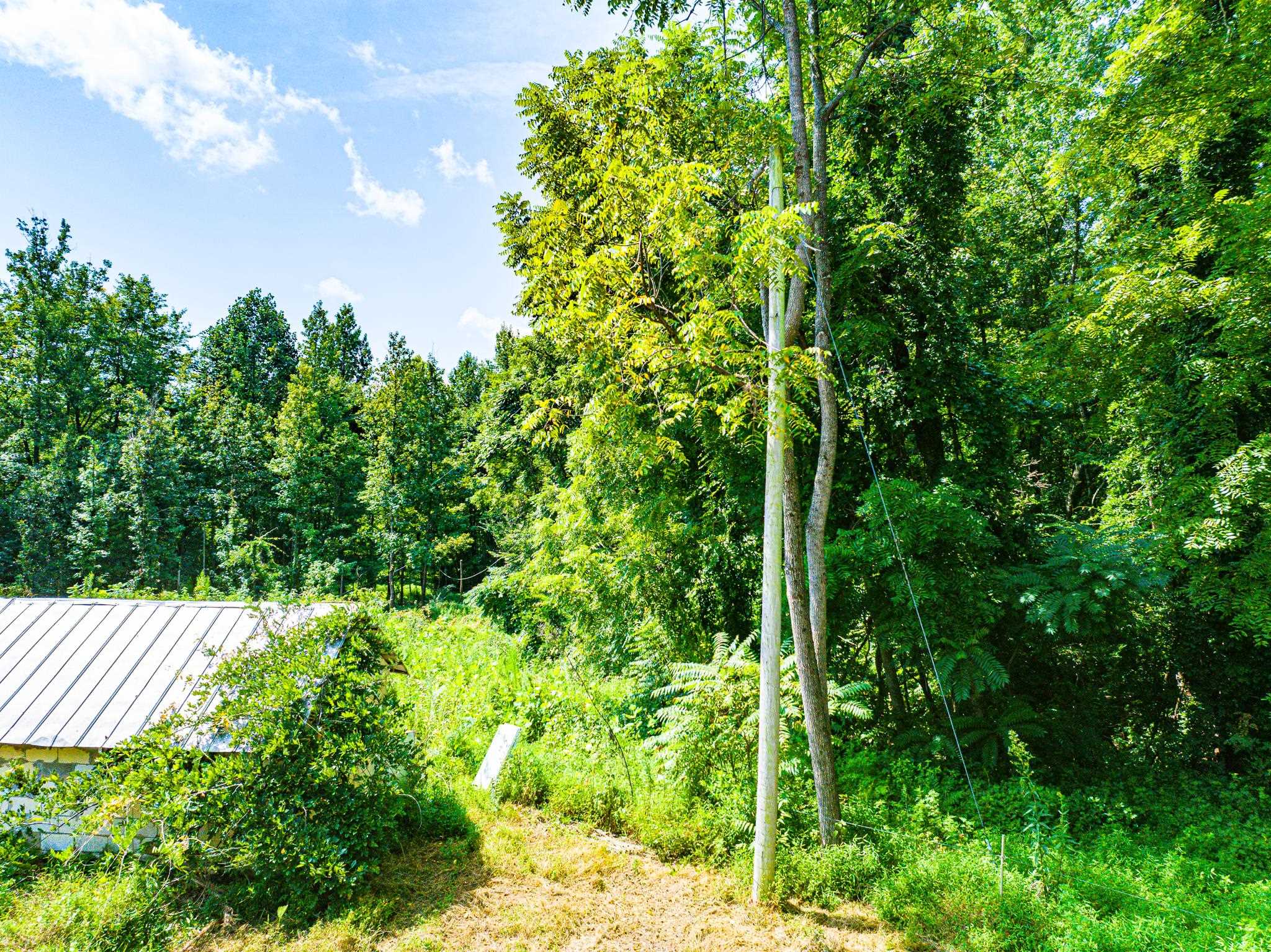 1421 Copper Springs Rd Property Photo 38