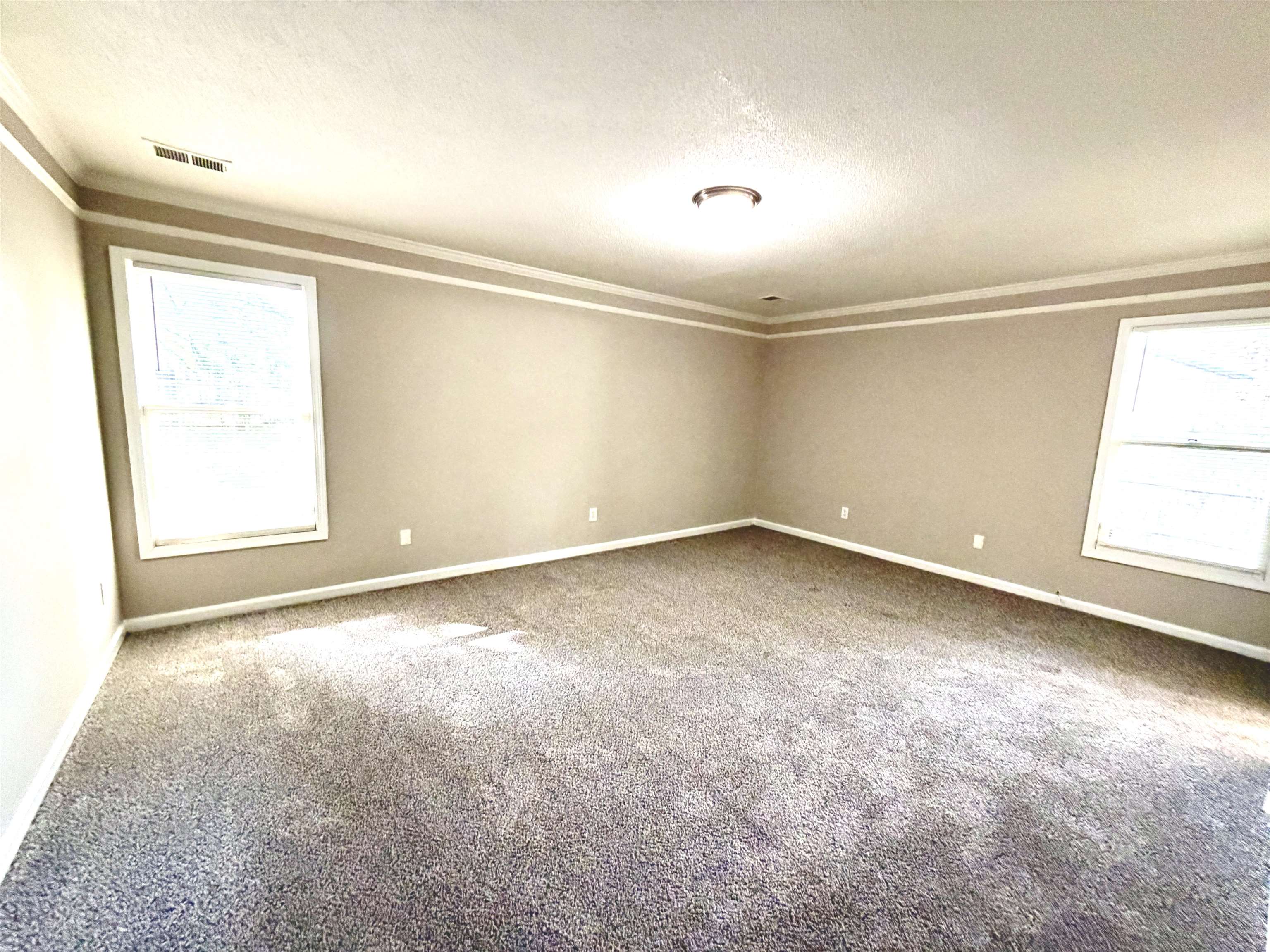 4801 Bradfield Run Property Photo 8