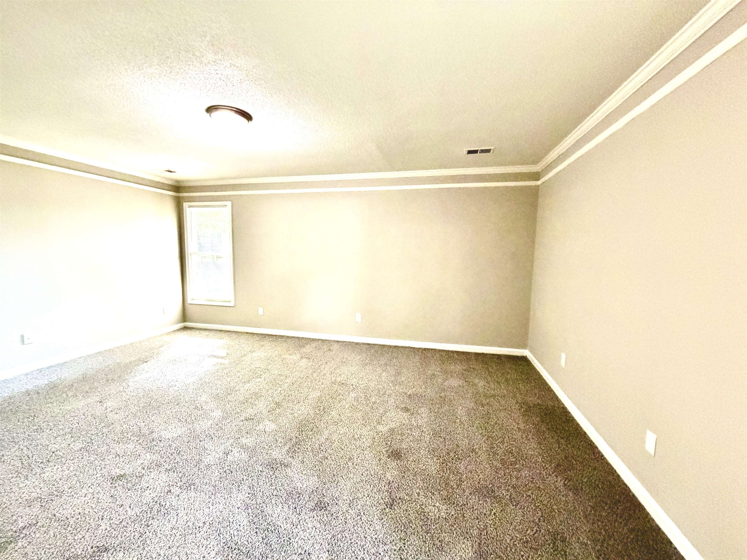 4801 Bradfield Run Property Photo 9