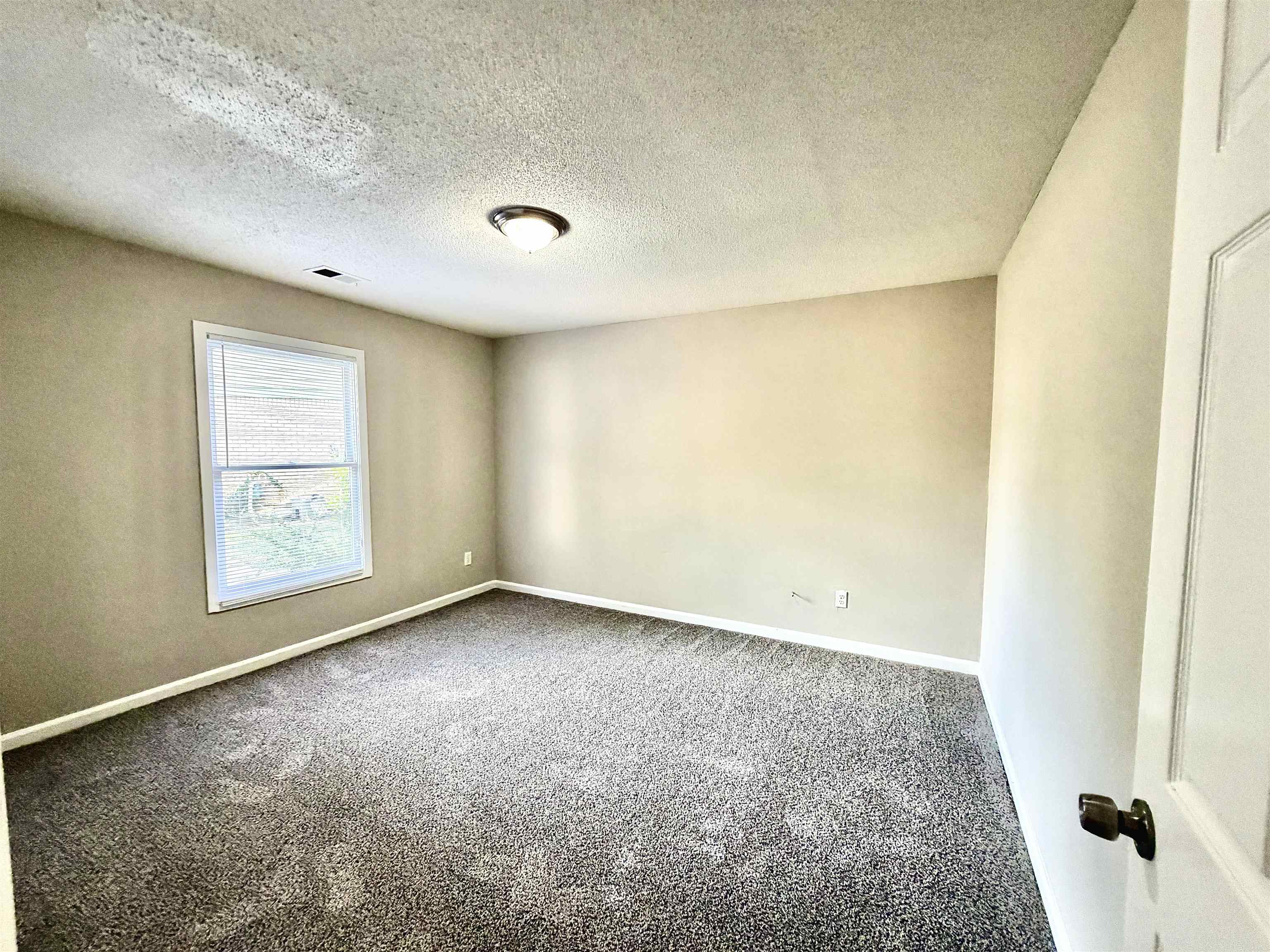 4801 Bradfield Run Property Photo 13