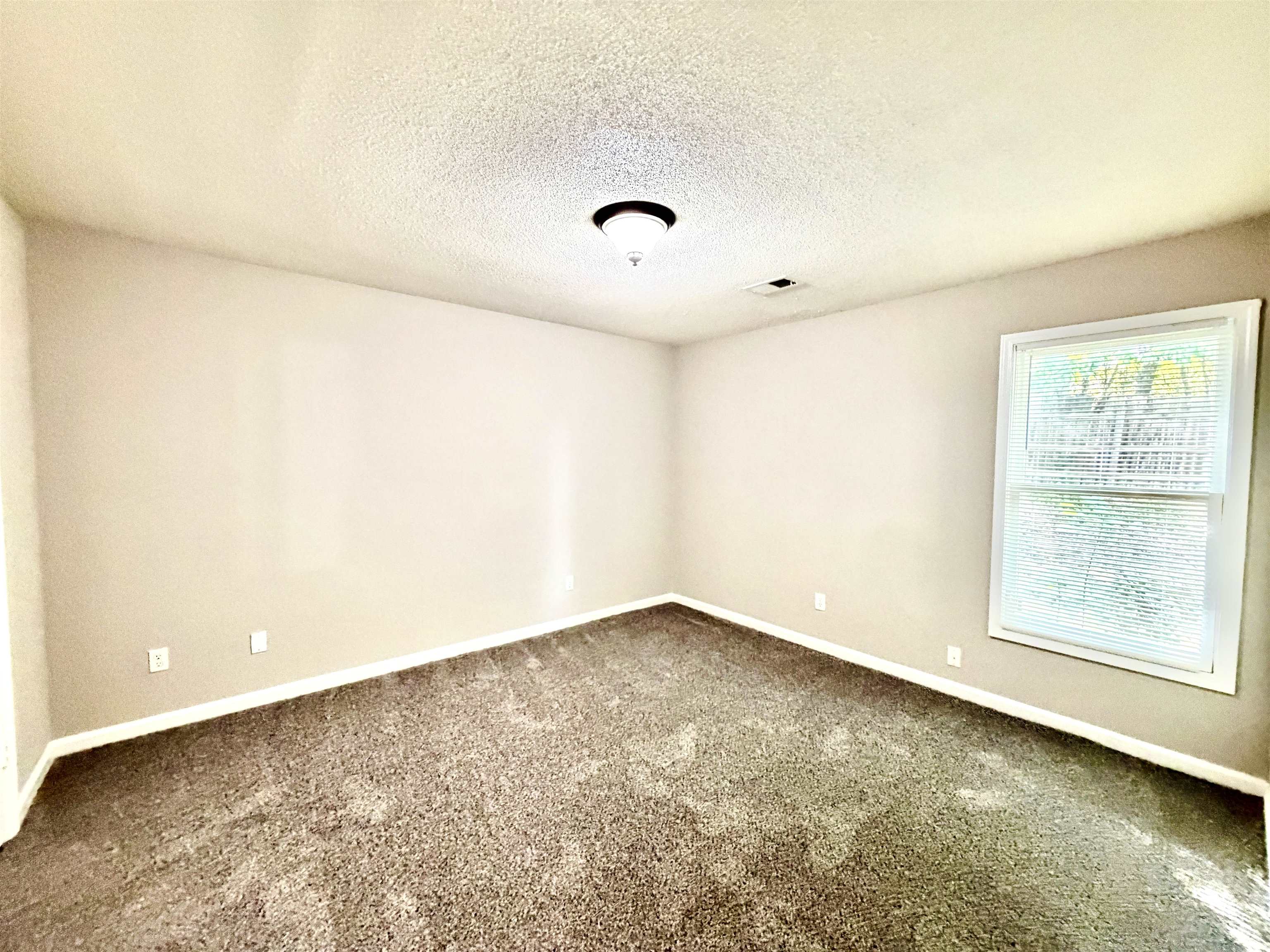 4801 Bradfield Run Property Photo 14
