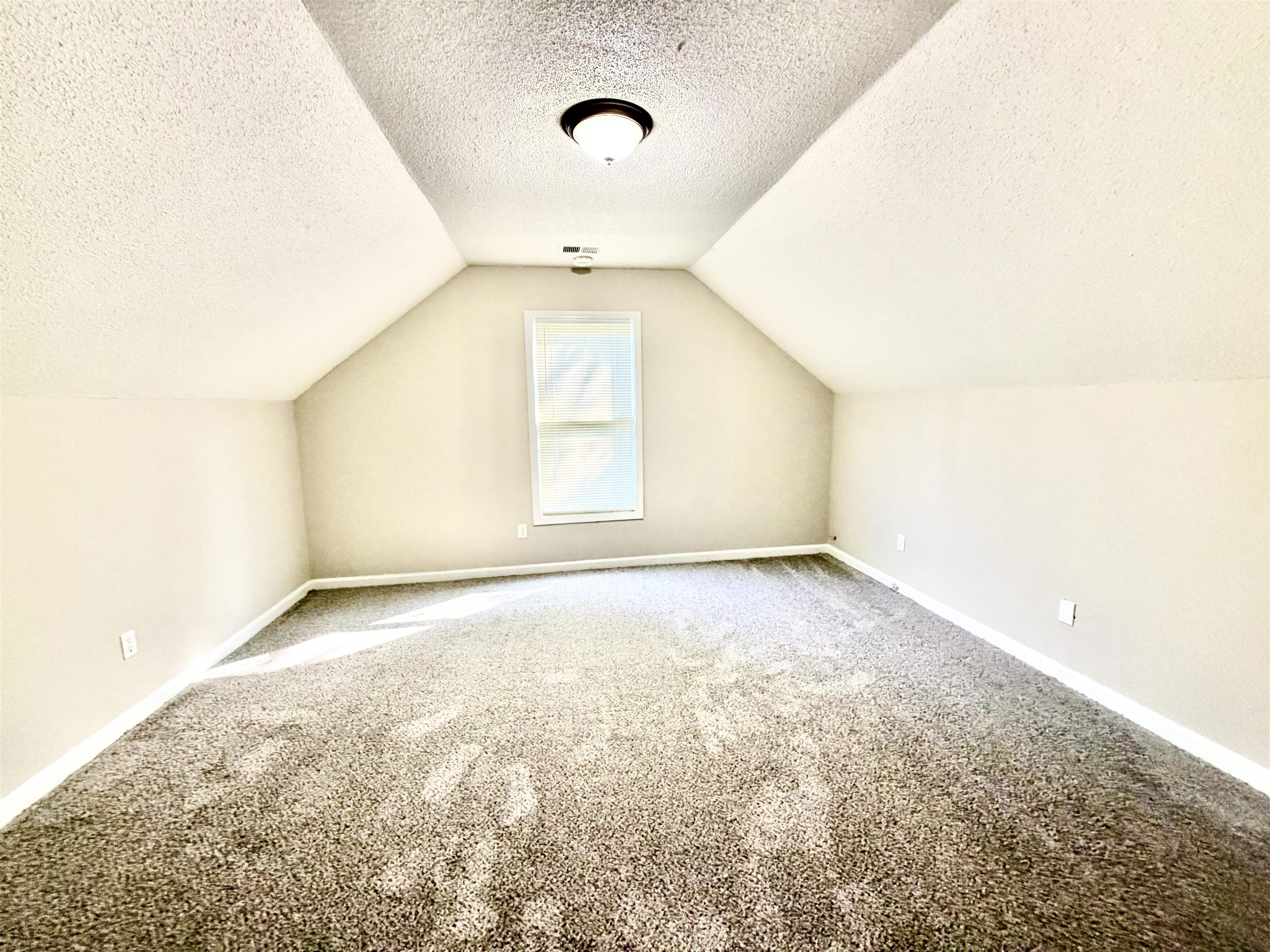 4801 Bradfield Run Property Photo 18