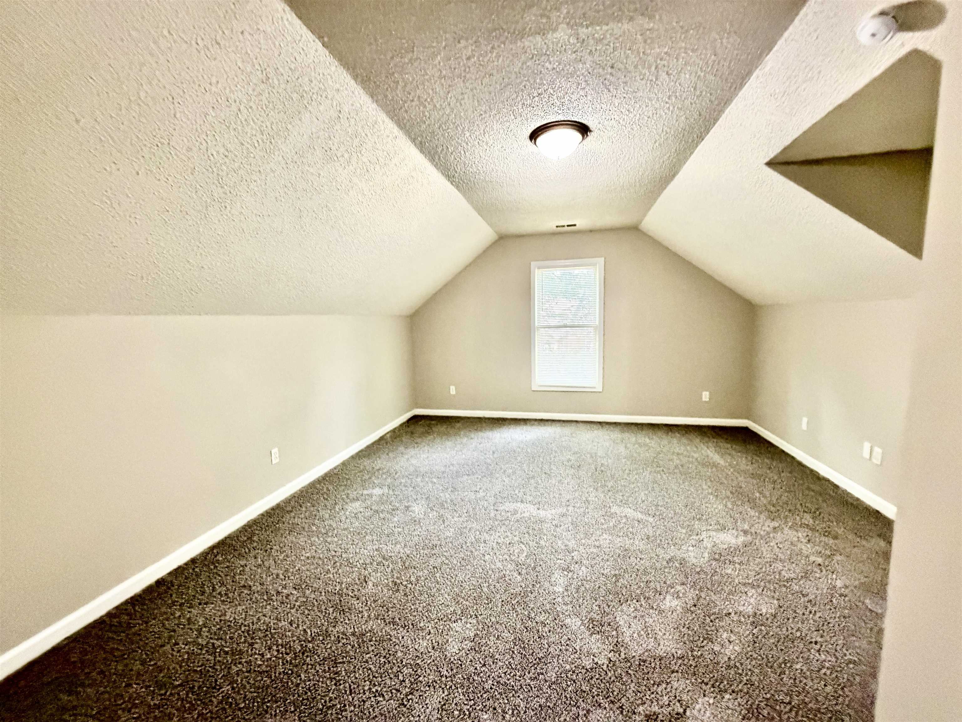 4801 Bradfield Run Property Photo 19