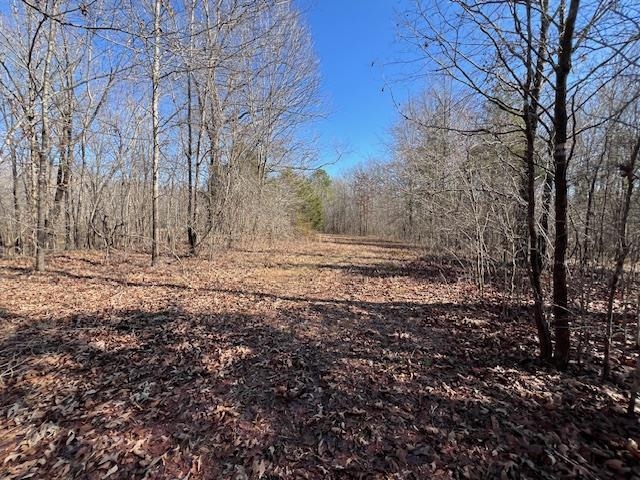 Hays Rd Property Photo 10