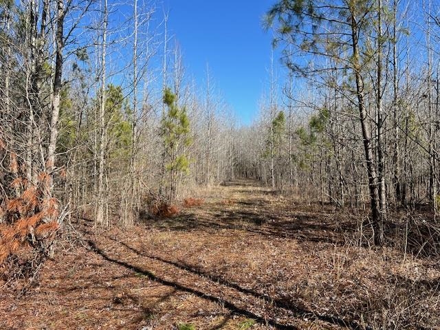 Hays Rd Property Photo 15