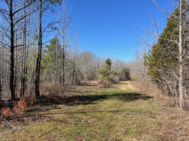 Hays Rd Property Photo 16