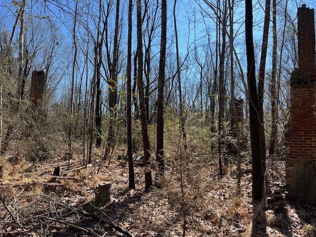 Hays Rd Property Photo 18