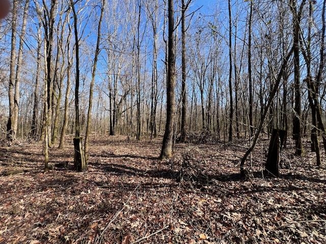 Hays Rd Property Photo 19