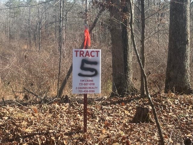 Tract 5 George Walter Rd Property Photo 1