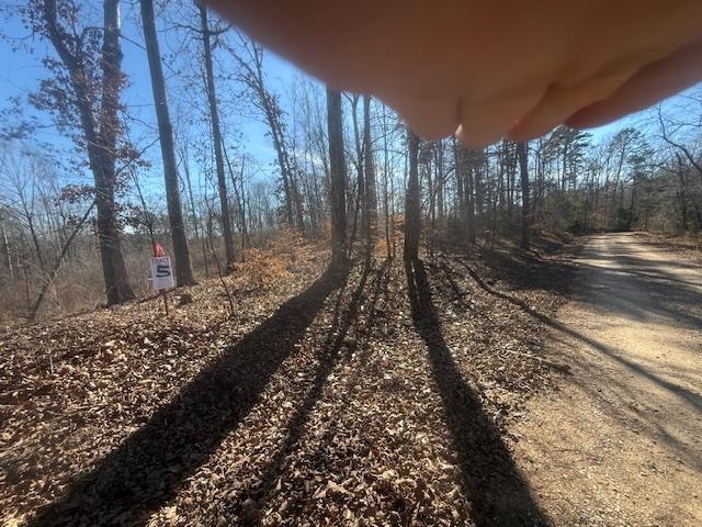 Tract 5 George Walter Rd Property Photo 2