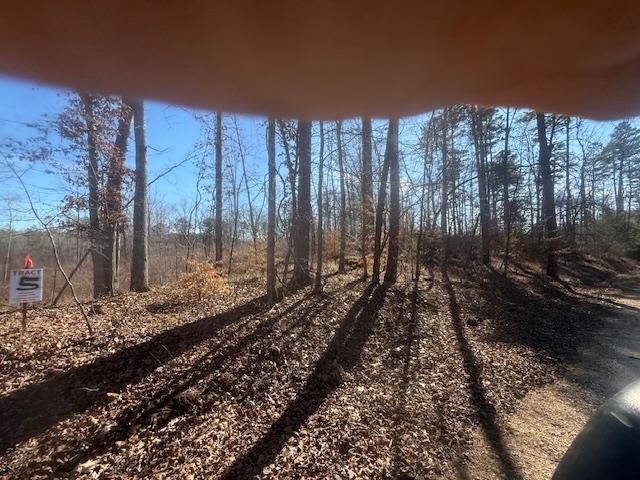 Tract 5 George Walter Rd Property Photo 3