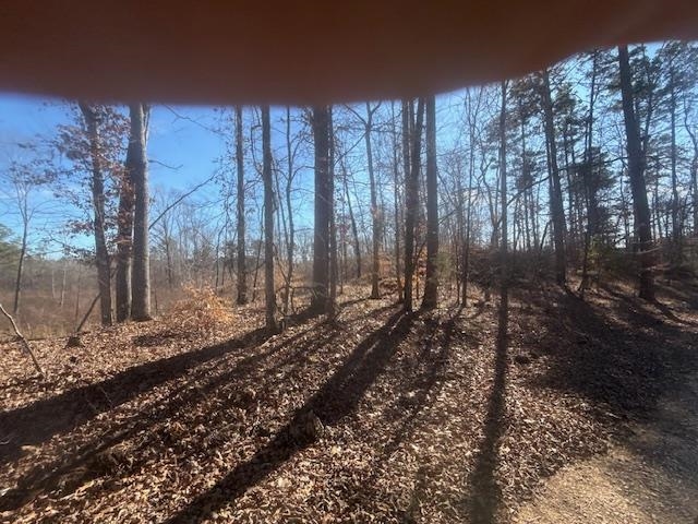 Tract 5 George Walter Rd Property Photo 4