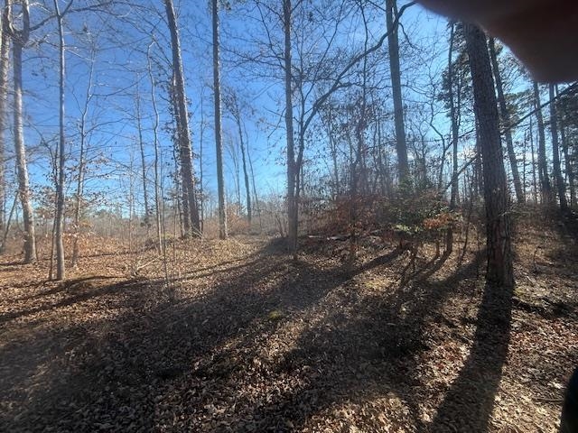 Tract 5 George Walter Rd Property Photo 6