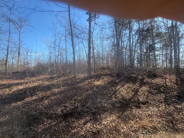 Tract 5 George Walter Rd Property Photo 7
