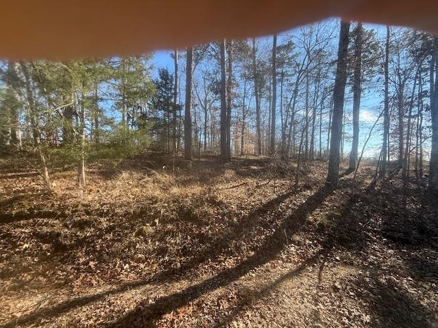 Tract 5 George Walter Rd Property Photo 8