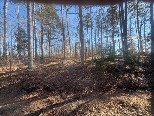 Tract 5 George Walter Rd Property Photo 9