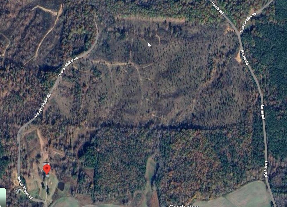 Tract 5 George Walter Rd Property Photo 10