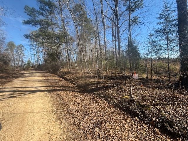 Tract 5 George Walter Rd Property Photo 12