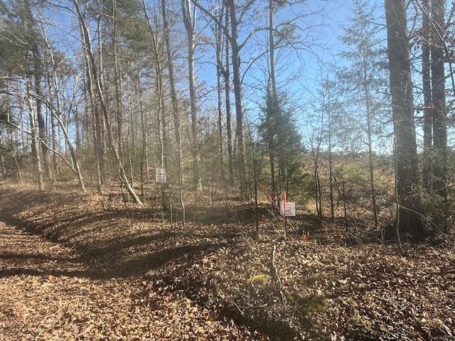 Tract 5 George Walter Rd Property Photo 13