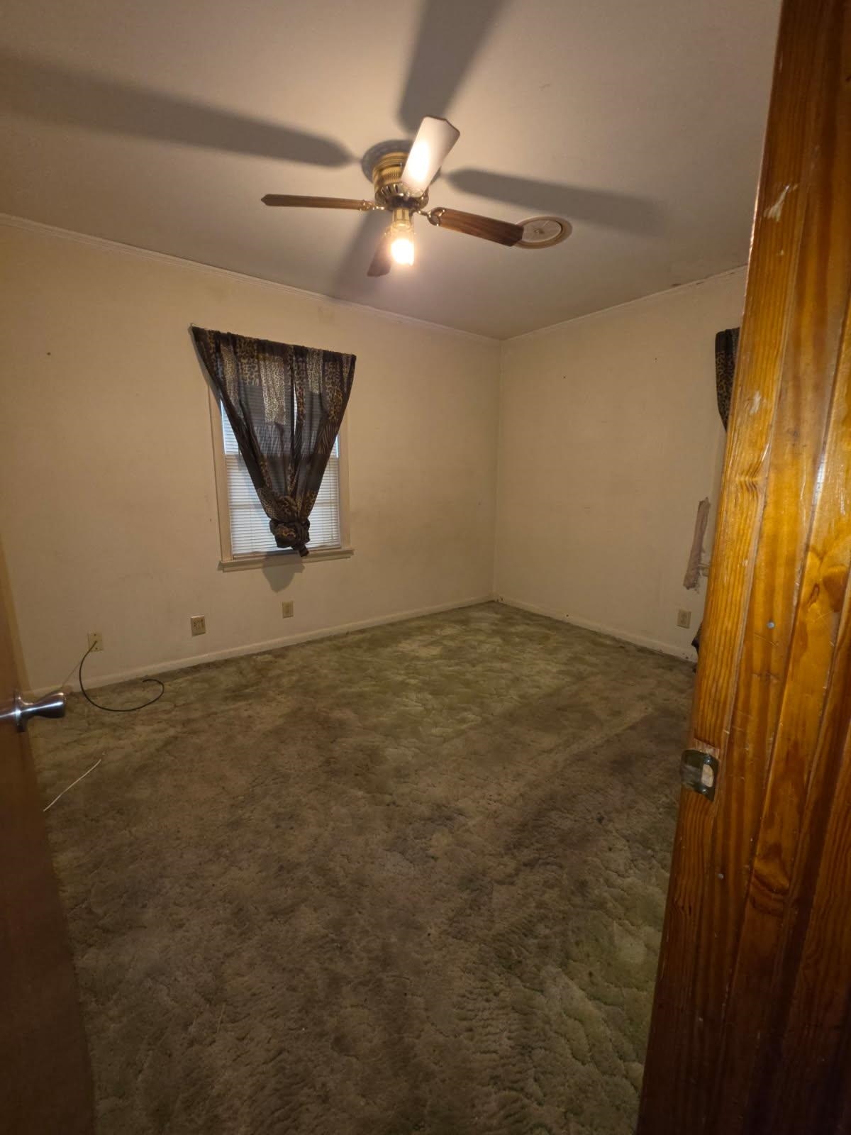 5350 Lochinvar Rd Property Photo 7