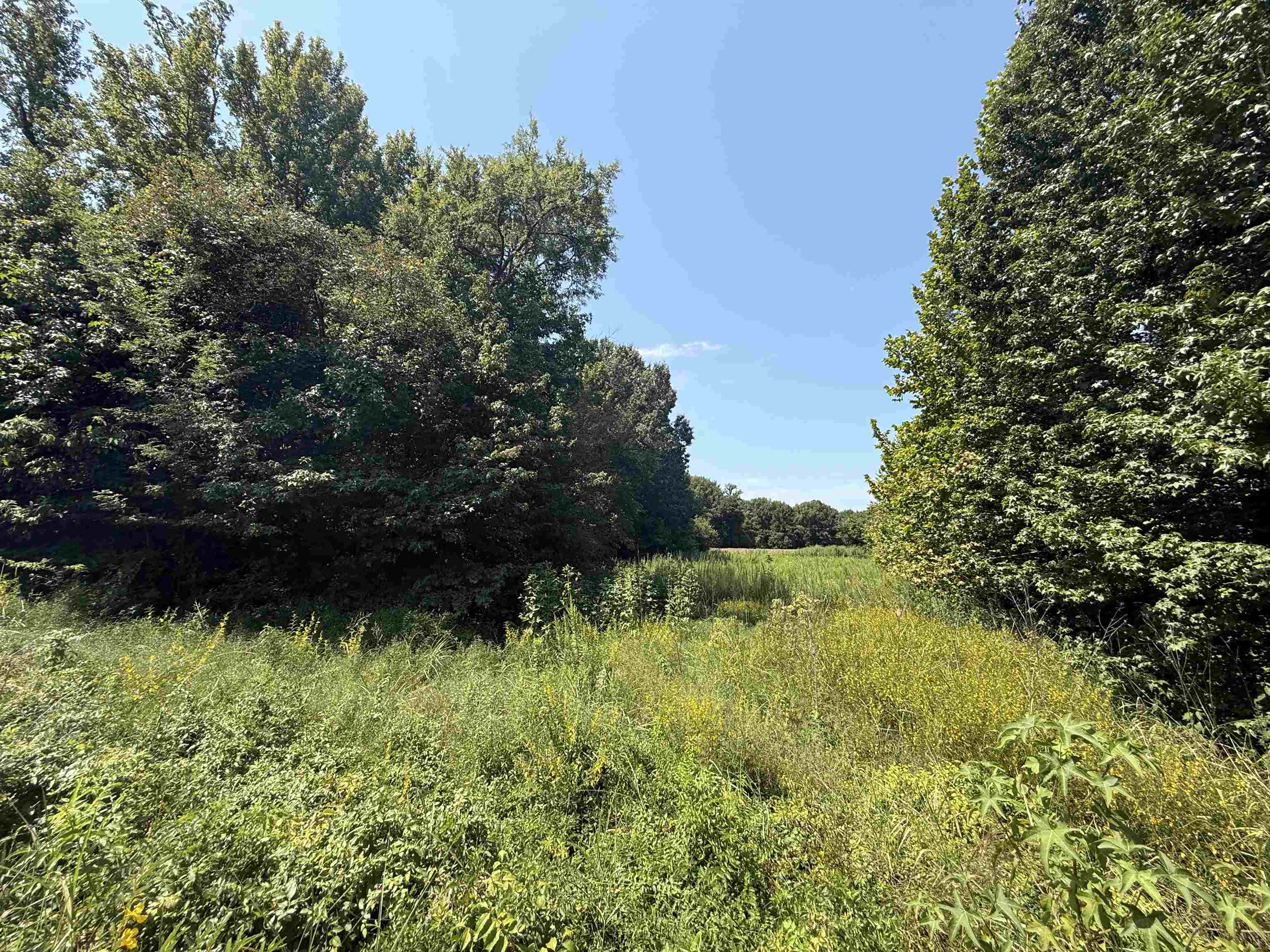 0 Crad Baskin Dr Property Photo 4