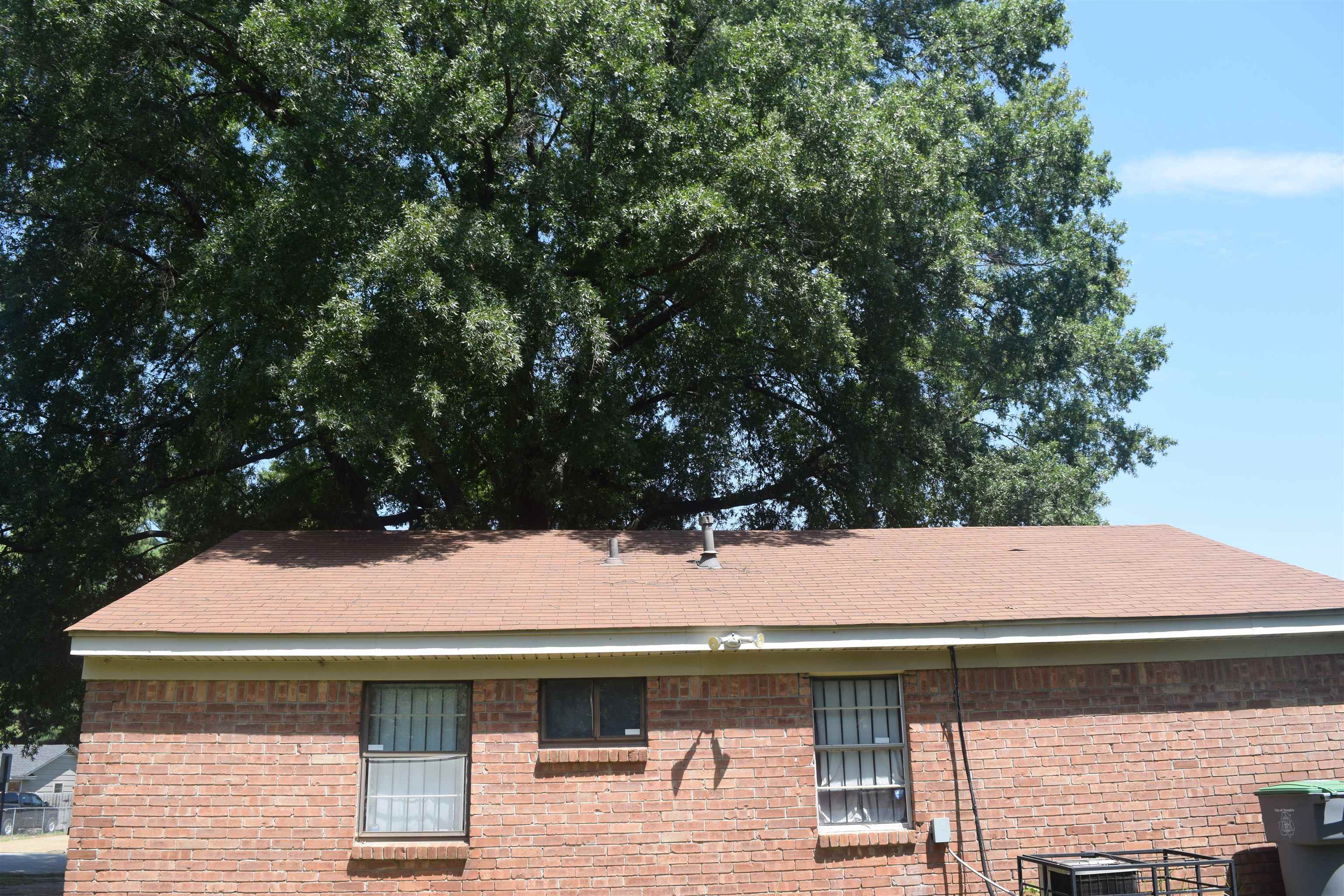 3445 Birdsong Ferry Rd Property Photo 10