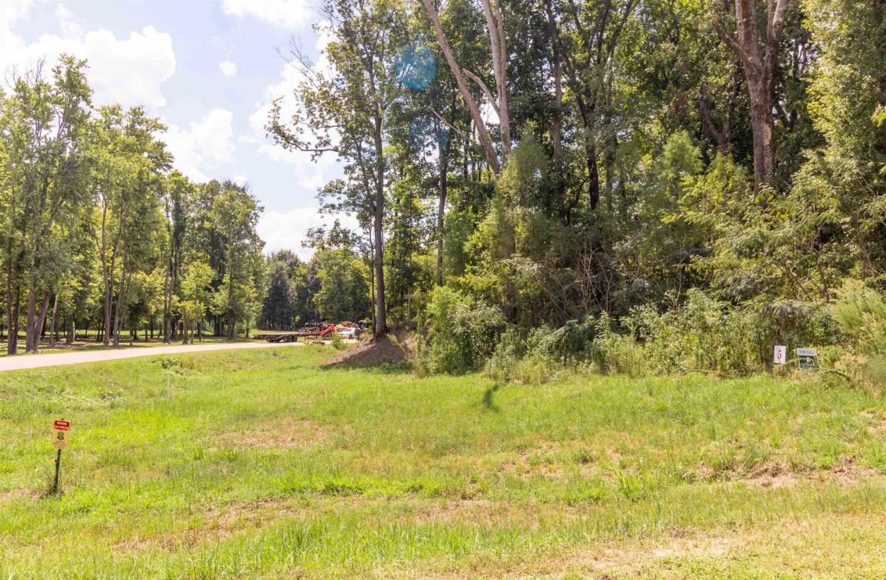150 Crown Vista Cv Property Photo 3