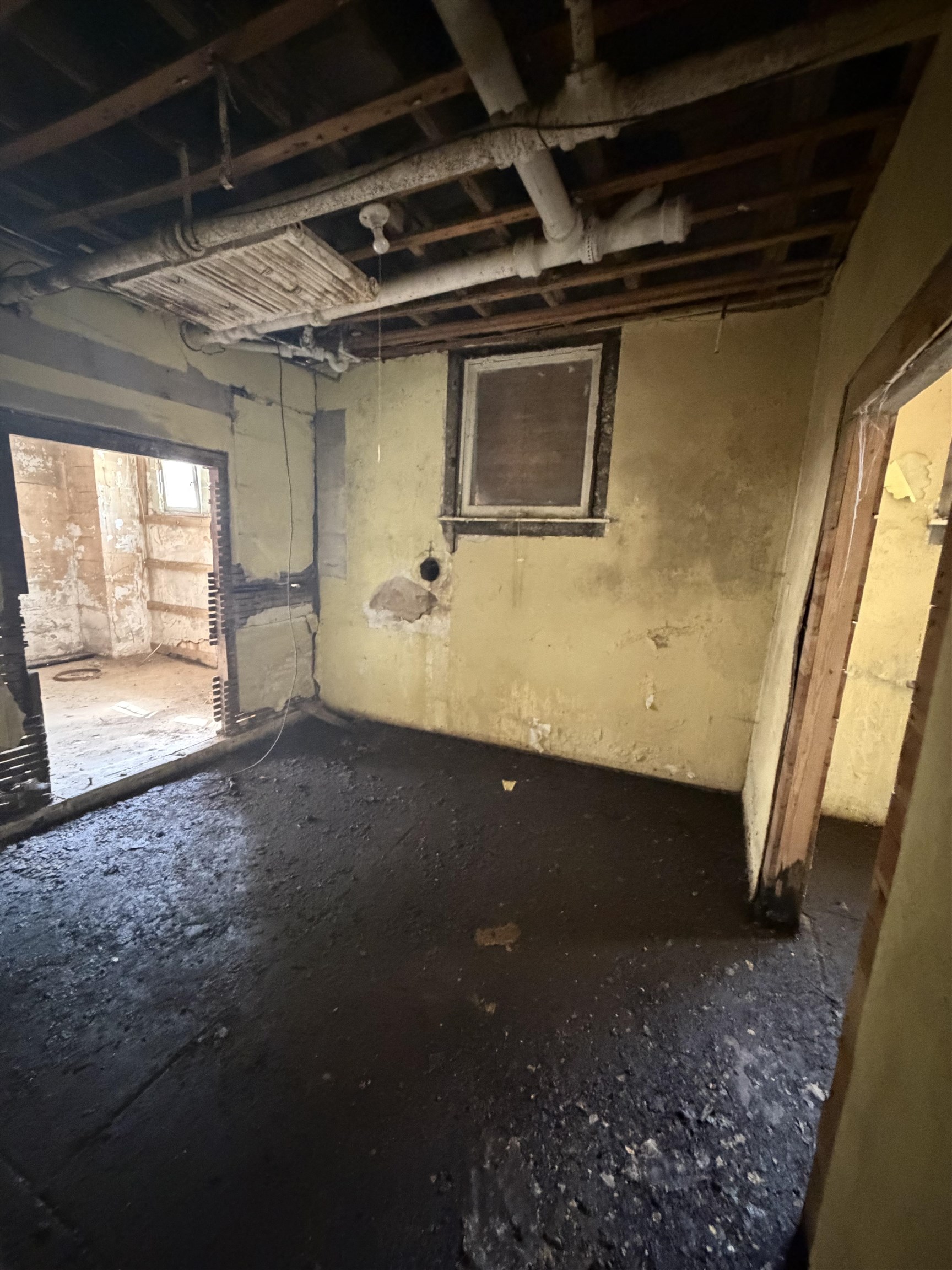 540 Hawthorne St Property Photo 16