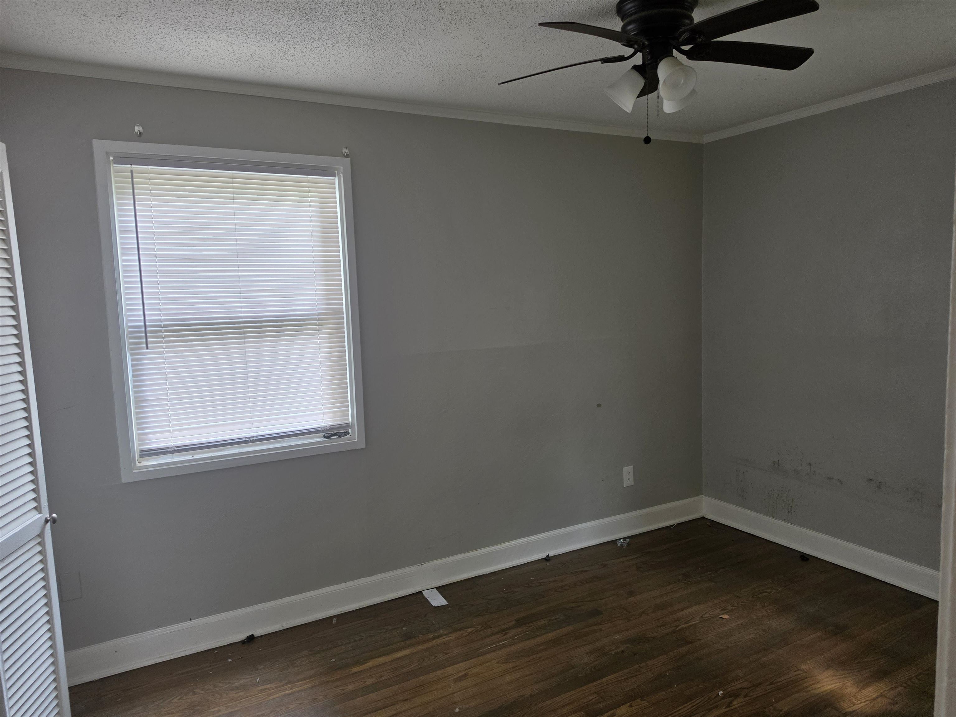 4160 Dunn Rd Property Photo 13